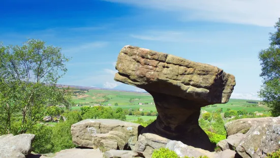 Brimham Rocks