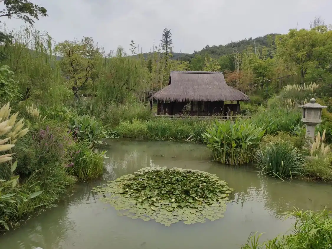 澗水禪音附近的飯店