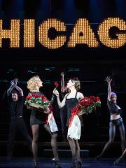 Chicago The Musical