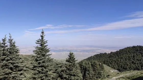 羅山國家級自然保護區