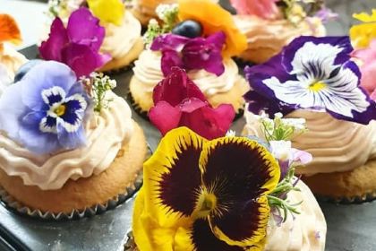 Life's Too Short Bar