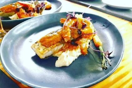 Grapes & Bites - Hostel and Wines