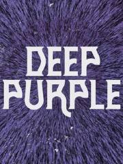 【法國吉尼亞克】Deep Purple 巡迴演唱會