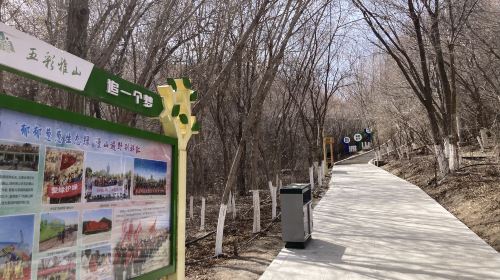 Yamalik Mountain Tourism Scenic Area