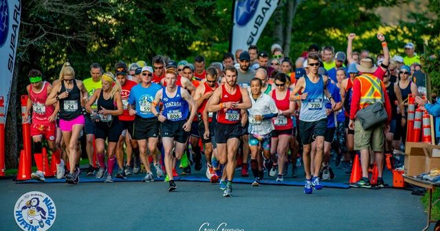 赫芬海雀馬拉松和半程馬拉松 | 聖約翰斯