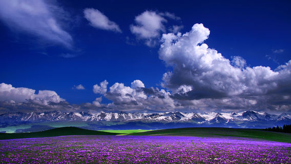 Dong Kalajun Scenic Area