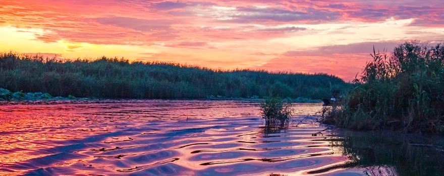 Dongping Lake
