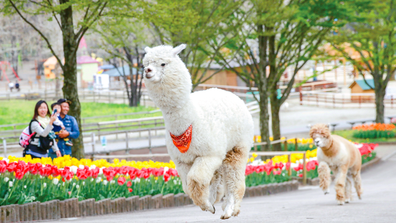 Nasu Rindo Lake Family Ranch