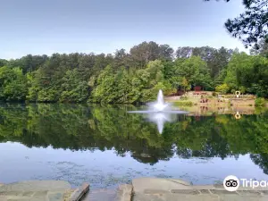 Sims Lake Park