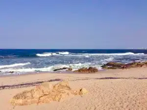 Bikini Beach