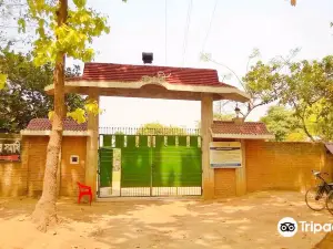 Nuhash Polli