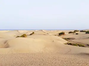 Baogutu Desert Tourist Area