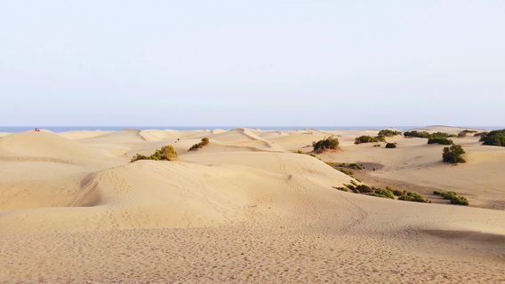 Baogutu Desert Tourist Area