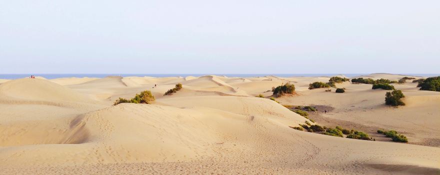 寶古圖沙漠旅遊區