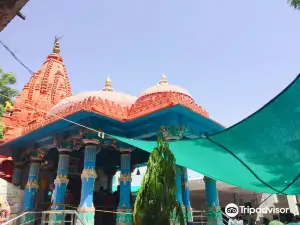 Jagatpita Shri Brahma Mandir