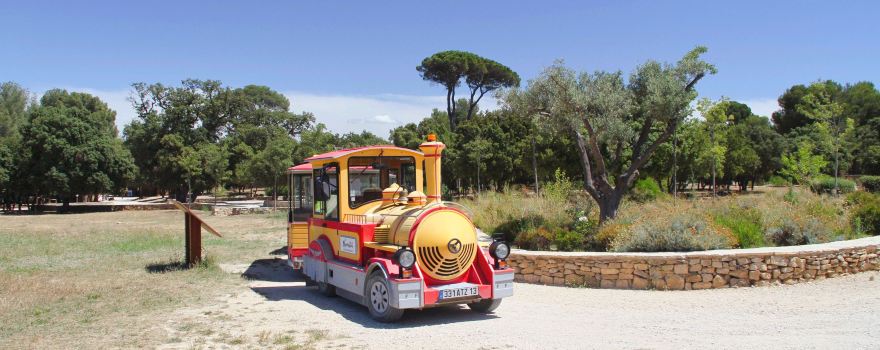 Parc de Figuerolles