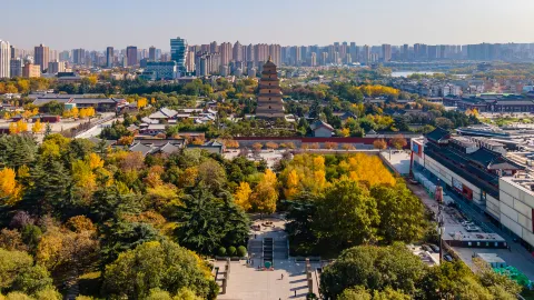 Big Wild Goose Pagoda attraction in Xi'an
