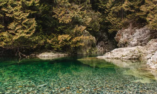 Lynn Canyon Park