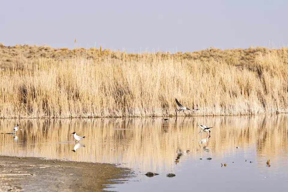 1_Ulungu Lake National Wetland Park