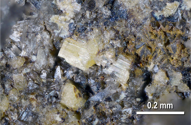 We will exhibit a new type of rare earth mineral, "Miyawaki Stone." | National Museum of Nature and Science