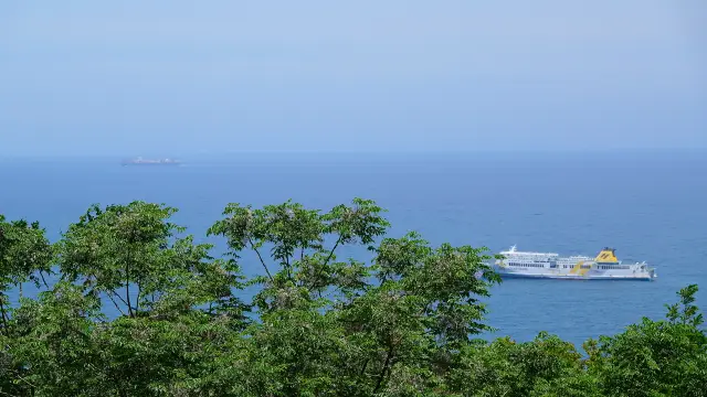 Sightseeing Boats in Jeju Island