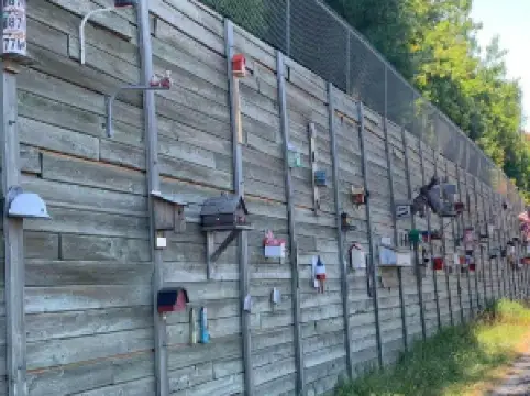 Million Dollar Birdhouse Wall