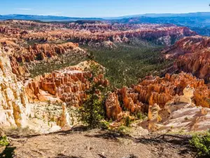 Bryce Point