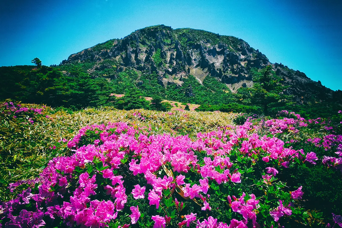 디지털 디톡스 여행
