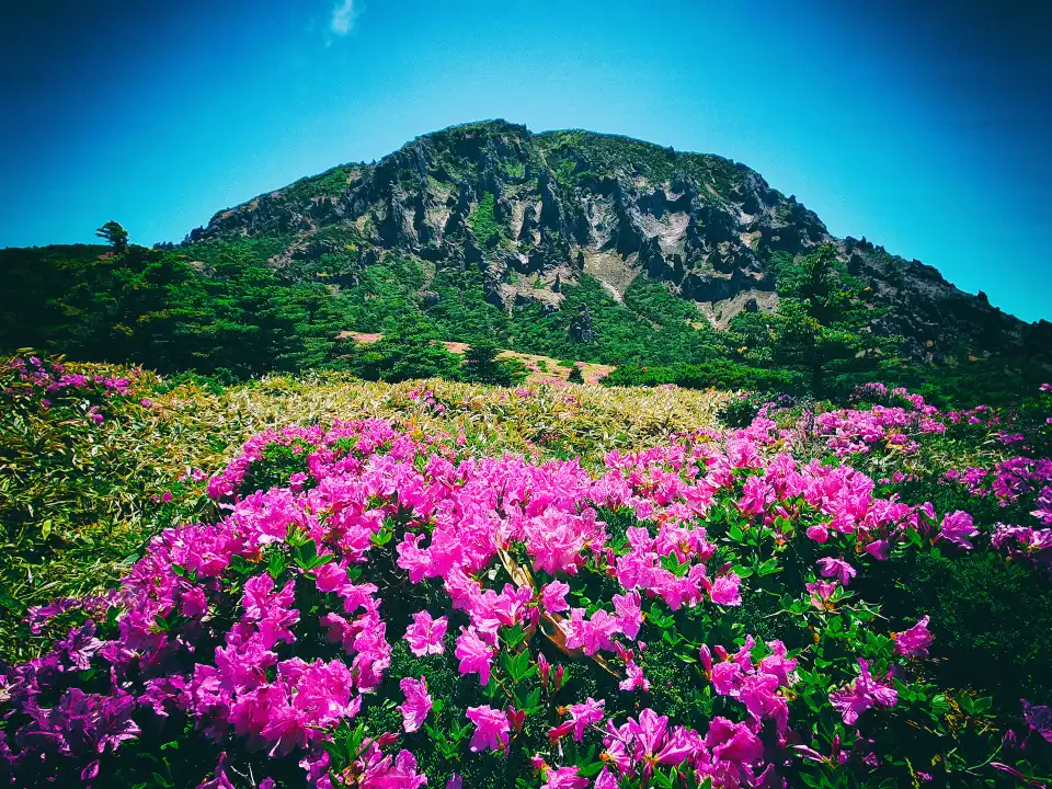 4_한라산 국립공원