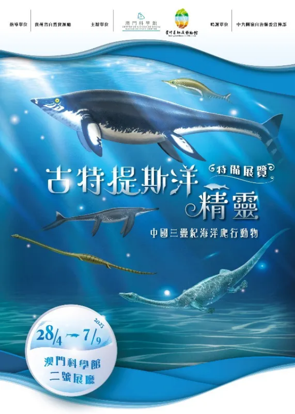 《古特提斯洋精靈》貴州三疊紀海洋爬行動物展 | 澳門科學館
