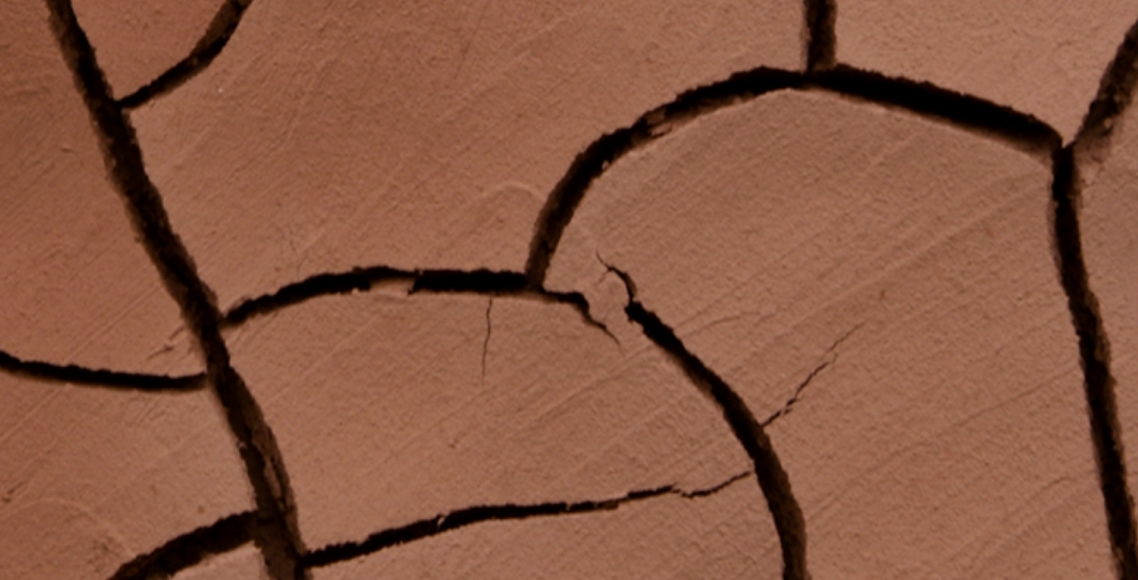 Andy Goldsworthy | Fifty Years | National Galleries of Scotland: National