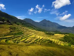 Longquan Mountain Tourist Area