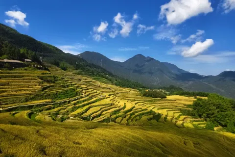 Longquan Mountain Tourist Area