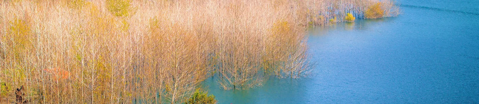 Attrazioni per la visione autunnale