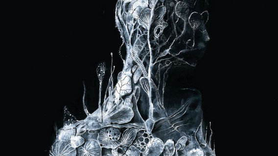 Huskvarna | Soen Concert Tour