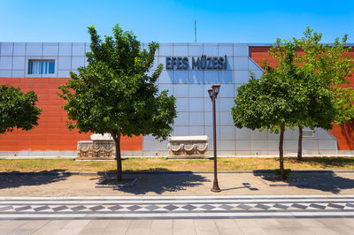 Ephesus Archaeological Museum