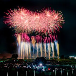 世田谷玉川花火大會