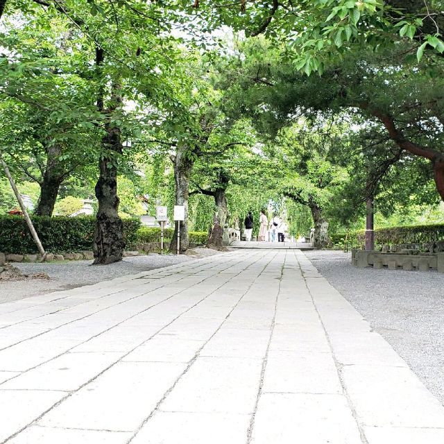 【三島】三島大社