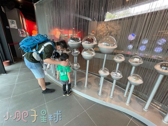 西貢巴士站隔離嘅#火山探知館終於開返喇！地方唔大，麻雀雖小五臟俱全。