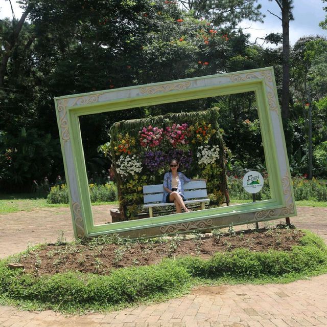 Embrace Nature