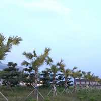 屯門打卡點 ｜ 浩和街