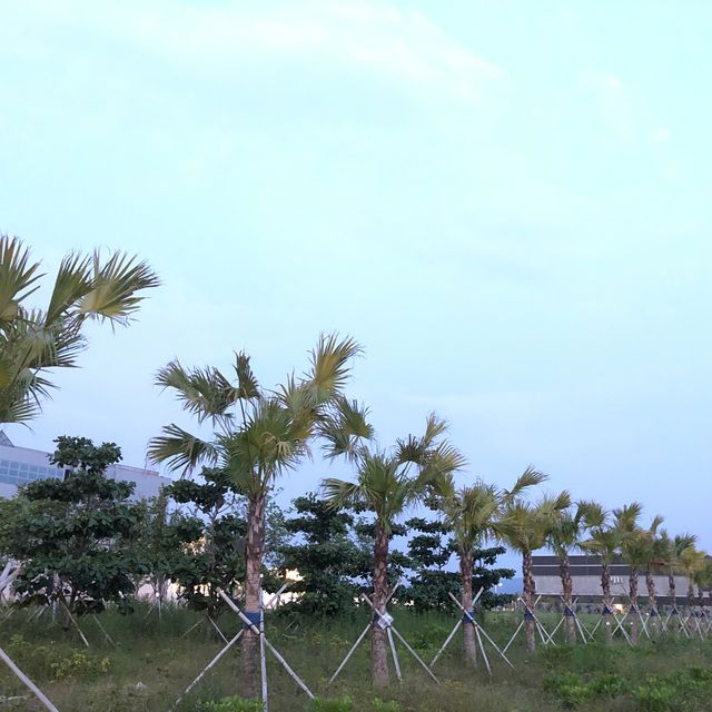 屯門打卡點 ｜ 浩和街