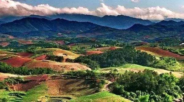 십만대산 국립 삼림공원