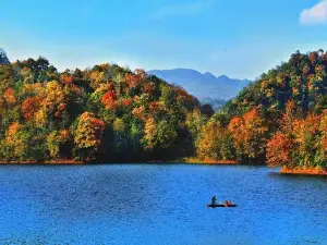Baili Azalea Scenic Area