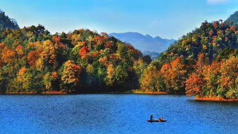 Baili Azalea Scenic Area attraction in Bijie