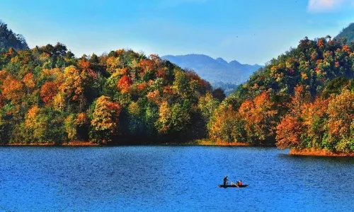 Baili Azalea Scenic Area