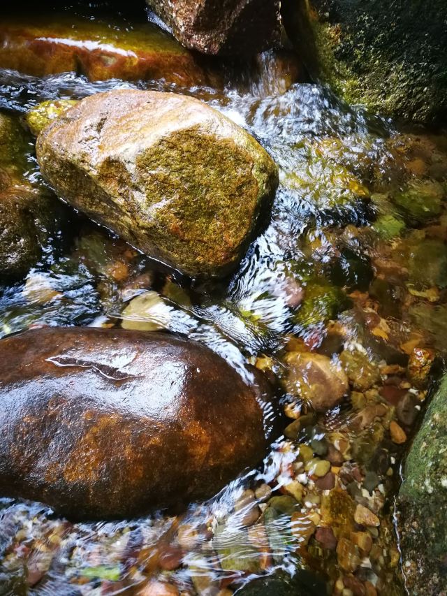 Shiwan Great Mountain National Forest Park