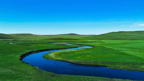 陳巴爾虎旗草原