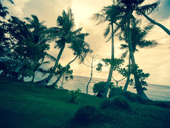 Hawaii Beach