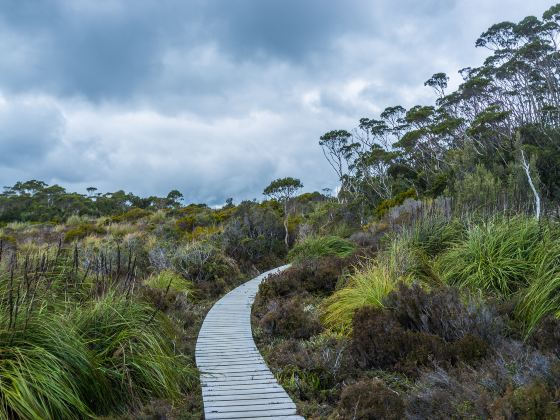 Horton Plains National Park